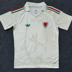 Wales 2026 World Cup Away Men Jersey